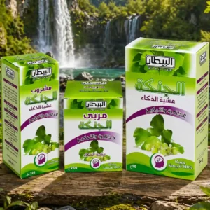 عشبة الجنكة – سر الذاكرة والتركيز الطبيعي